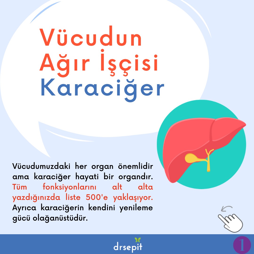 Karaciğer Hastalıklarında Bütüncül Yaklaşım